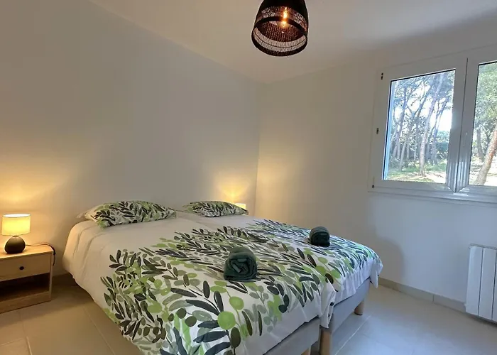 Duplex-3 Giens-wifi-parking By Hc Apartment Hyères